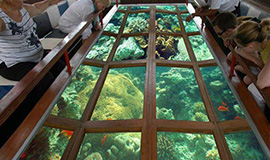 Sharm Glass Bottom Boat